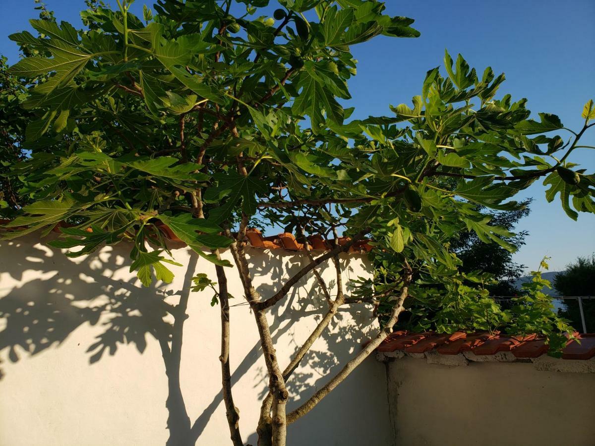 Guest House Evtimov Πριμόρσκο Εξωτερικό φωτογραφία